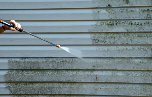 Best Patio and Deck Pressure Washing  in Coal Fork, WV